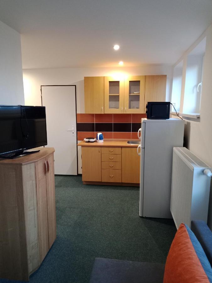 Apartman Obecni Hostinec Provodov (Hradec Kralove) Zewnętrze zdjęcie